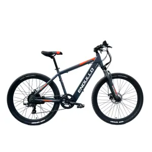 Thiết kế mới E xe đạp tùy chỉnh 13ah Xe đạp điện 36V/48V 250W/350W/500W xe đạp leo núi điện