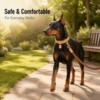 Ensemble collier et laisse réglables en cuir pour chien et chat, avec logo gravé personnalisé, étiquette d'identification anti-perte, ceinture de traction tendance pour animaux de compagnie, toutes saisons