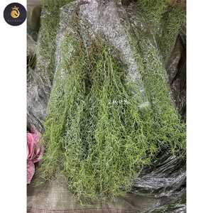 Simulazione aria <span class=keywords><strong>veccia</strong></span> selvaggia appesa Tillandsia usneoides soffitto appesa in stile Mori <span class=keywords><strong>pianta</strong></span> verde matrimonio morbido - Product Image 4