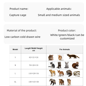 Piège pliable robuste à double porte pour blousons, ratons laveurs, chiens et chats sauvages – Cage professionnelle et écologique pour une capture humaine - Product Image 6