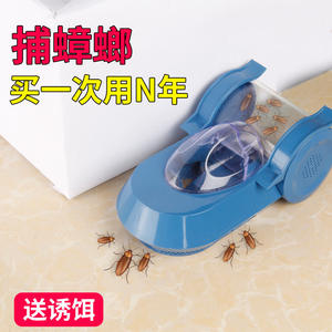 Trampa para cucarachas de forma sólida, desechable, con cebo físico para uso doméstico, origen Zhejiang - Product Image 4