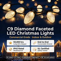 Guirlande lumineuse LED C9 24V pour arbre de Noël, décoration extérieure personnalisée, IP65 Ra90, garantie 10 ans, intensité variable, vente en gros