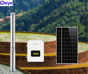Deye 1.5hp <b>Solar</b> Submersible <b>Pump</b> 3C1100/PC4.5-165D 3600W AC Hybrid Controller for Agricultural Farm Irrigation 3C1100/PC4.5-165 - Product Image 1