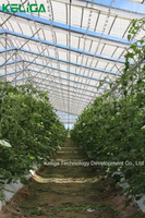 Serres entièrement automatisées rétractables Fournisseurs Serre Fabricant Grande Taille
