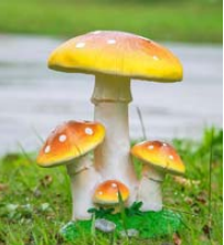 Lampe décorative à motif champignon LED IP65 pour chemins de jardin et parcs extérieurs - Product Image 1
