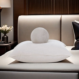 Penjualan pabrik langsung tiga dimensi berlapis bantal Bawah bebek lembut inti untuk tidur hotel menyusui asrama membaca sandaran tempat tidur - Product Image 4