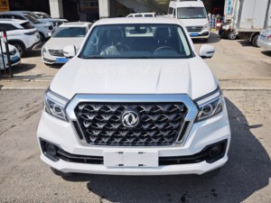 Camionetas Dongfeng Rich <span class=keywords><strong>6</strong></span> Nuevas y Usadas 4x2 4x4, Transmisión Manual y Automática, Diésel, Gasolina, Eléctricas, Camionetas de Carga - Product Image 1