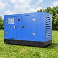 Générateur diesel silencieux haute performance 20 kVA avec ATS et 50/60 Hz pour utilisation agricole, refroidissement par eau