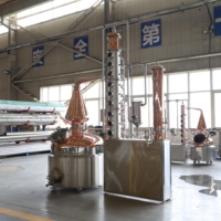 Équipement de distillation de gin 100L 200L 300L avec panier à plantes aromatiques pour petites distilleries