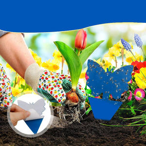 Piège collant triangulaire bleu écologique et imperméable pour mouches des fruits, avec piquets <span class=keywords><strong>de</strong></span> fixation au sol, pour jardinage domestique et plantes en pot - En stock - Product Image 3