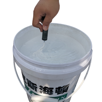 Revêtement imperméable polyacrylique haute performance pour toitures en béton, murs extérieurs, sous-sols, carreaux - Écologique et haute résistance