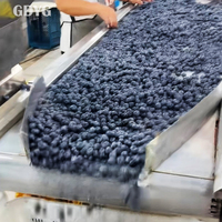 Premium kwaliteit voor gezondheidsbewuste/zoete tropische exotische fruitgroothandel, directe export, fabrieksprijs, verse diepvries bosbessen
