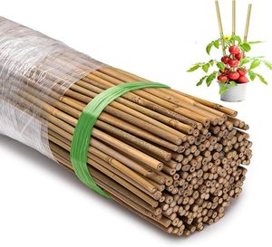 Estacas de Bambú Tratadas y Duraderas, Soporte Agrícola para Plantas, Cañas Naturales para Jardín, Viñedo, Tomateras y Viveros, Precio de Fábrica - Product Image 1