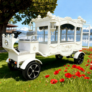 Carroza Fúnebre Eléctrica Retro con Forma de Caballo, Carroza para Ataúdes, 4 Ruedas, Color Personalizado, en Venta - Product Image 1