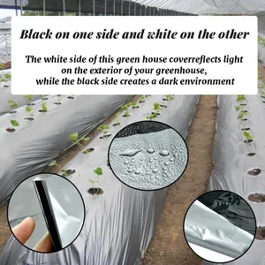 تقنية متطورة 100 متر من عشب أسود ينمو غطاء بلاستيكي للتربة يغطي الأرض في الدفيئة