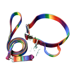 Colorful Ombre Dog <b>Collar</b> Deluxe Premium <b>Metal</b> Accessories With Grips Pet Dog <b>Collar</b> Set Pet Supplies - Product Image 4