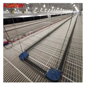 Broiler Parent Stock Automatic Equipment Feeding Line System Breeder Chicken Poultry Farm Design Hens Chain Feeder for