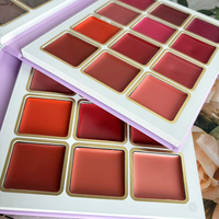 Palette de Correcteurs 12 Couleurs Sans Logo, Palette de Maquillage Contour, Palette de Maquillage Personnalisée à Marque Privée, Échantillon Gratuit