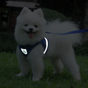 Arnés para Perros con Malla Transpirable, Cómodo y Suave, con Bandas Reflectantes, Talla XL, Chaleco para Pasear Gatos - Product Image 4