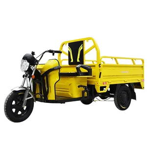 Triciclo elettrico express car new household agricultural cargo battery car adult pull cargo triciclo
