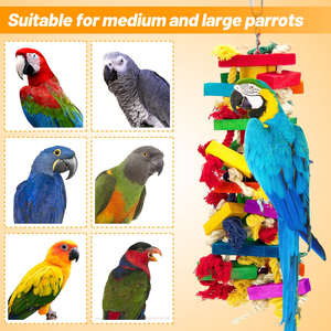 Jouet à mâcher en bois pour animaux de compagnie, pour perroquets de grande et moyenne taille, écologique, en bois coloré et coton, pour perroquets, ara, jouet à mordre pour oiseaux - Product Image 4