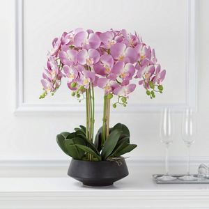 Moderna Flor de Orquídea Artificial Oh Arts de 58 cm, Orquídeas Phalaenopsis de Tacto Natural Artificiales con Maceta - Product Image 6