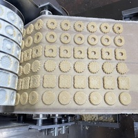 Machine de forme de moule à biscuits sablés De Presse commerciale personnalisée Machine de fabrication de biscuits pour animaux Machine