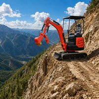Mini-excavatrice sur chenilles SHANBO 29KW avec pompe hydraulique et boîte de vitesses, moteur Laidong, godet de 0,036 m³ et forte puissance de creusement