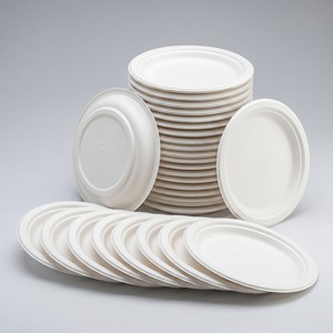 Assiettes jetables en bagasse de canne à sucre de <span class=keywords><strong>10</strong></span> pouces, compostables, biodégradables, écologiques pour la restauration, les restaurants et les événements - Product Image 2