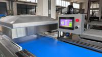 Machine d'emballage sous vide à bande transporteuse, fournisseur direct du fabricant, machine d'emballage automatique de viande pour l'alimentation