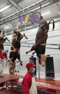 حوض دم لمسلخ الحيوانات للماشية - Product Image 3