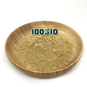 100% Natural Paraguay Tea/Ilex Paraguariensis Powder/Yerba Mate Extract