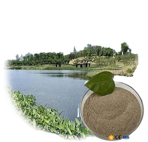 Bio Enzyme cuisine huile graisse piège nettoyage eaux usées traitement des eaux usées huile dégradant les bactéries - Product Image 1