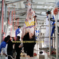 Équipement d'abattage de bétail pour abattoir, ligne de rail de guidage pour l'abattage, à vendre