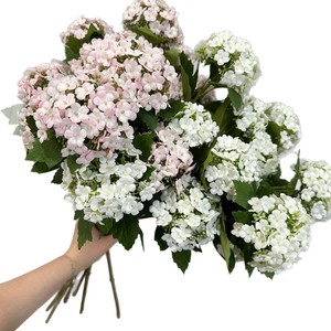 Bouquet d'hortensias artificiels Meng Jie, fleurs vert clair en plastique et soie, décoration d'intérieur, arrangement floral pour mariage - Product Image 5