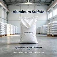 Perusahaan Perdagangan dan Produsen Aluminium Sulfat CAS 10043-01-3 untuk Pemurnian Air