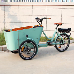 Vélo cargo familial à trois roues électrique certifié CE, quatre <span class=keywords><strong>places</strong></span>, quatre <span class=keywords><strong>places</strong></span> assises, vélo hollandais à trois roues, remorque Bakfiet, vélo cargo électrique - Product Image 2