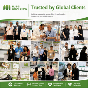 وعاء حساء قابل للتحلل وصديق للبيئة سعة 18 أونصة (500 مل) بسعر المصنع، آمن للاستخدام في الميكروويف، عبوات للوجبات الجاهزة مصنوعة من لب قصب السكر - Product Image 4