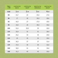 Stilnyashka 13222-8 Robes de filles pour enfants de haute qualité, robes de filles à fleurs brodées, robes vertes en dentelle pour filles