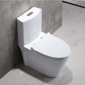 Usine de fabrication américaine Standard de haute qualité s-trap 12 pouces en céramique brute articles sanitaires salle de bains toilettes monobloc
