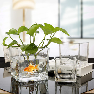 Commercio all'ingrosso grande vetro chiaro cubo vaso di colore personalizzato Design moderno arredamento per la casa di nozze quadrato fiore e pianta vaso - Product Image 3