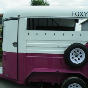 Remolque para 2 Caballos Económico con Precio Bajo, Remolque para Caballos de Carga Recta - Product Image 4