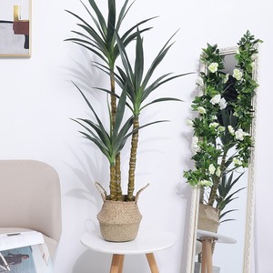 Plantes artificielles en sisal Dream Castle, 100cm-200cm, style nordique, décoration intérieure pour salon, présentation en vitrine - Product Image 2
