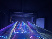 Luz Láser RGB de Precio de Fábrica, Animación 3D, DMX, Clasificación IP54, 250W, Control por Aplicación, Luces de Escenario para Discotecas, Fiestas, DJ, KTV, Teatro