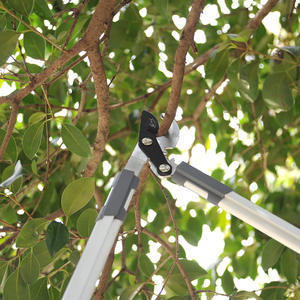 Tijeras de Podar Dobles para Pino, Hoja de Acero Inoxidable de 50 mm, Diámetro de Corte de 20-30 mm, Estructura de Mariposa, Herramientas de Jardín - Product Image 1