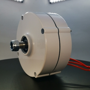 Alternadores de CA sin engranajes de imanes de 200W 12/24V a precio económico para energía eólica, uso doméstico y otros usos. Precio de generador magnético de 200W. - Product Image 6