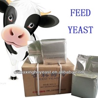 Optimisez la conversion des aliments dans la levure d'alimentation du bétail: pour une production de bœuf efficace, choisissez notre levure alimentaire