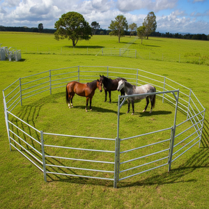 Corral Redondo de 13 Paneles + 1 Portón para Caballos de 9 m de Diámetro y 6 Pies de Alto, Paneles de Valla para Uso Ovino - Product Image 4