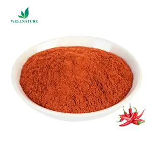 Pure Capsaicin Extract Powder 404-86-4 Bulk Capsicum Extract Capsaicin Powder