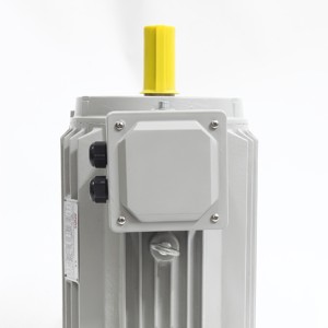 Motores de CA Serie YE Y2 315L2-6 de 2 <span class=keywords><strong>HP</strong></span> a 75 <span class=keywords><strong>HP</strong></span>, 750 RPM - 3000 RPM, 220V, 50Hz, Motores de Inducción Trifásicos - Product Image 6